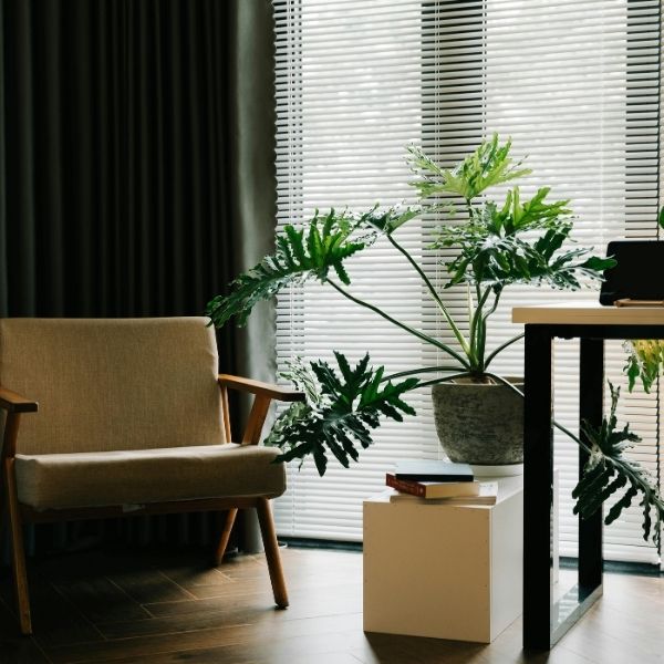 house with good indoor air quality