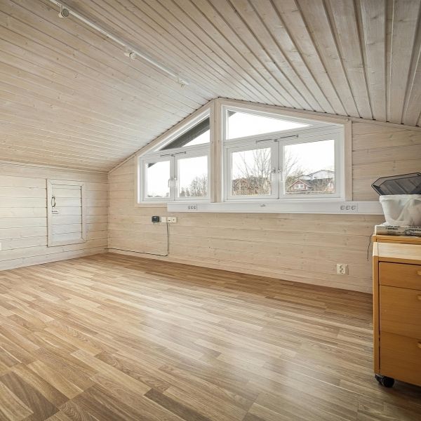 Top Hidden Culprits 2 attic window